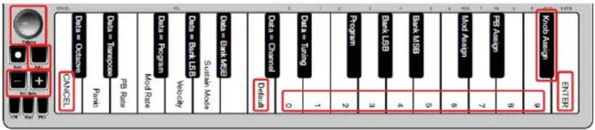 ALESIS Q Mini - Manopola del volume - 1
