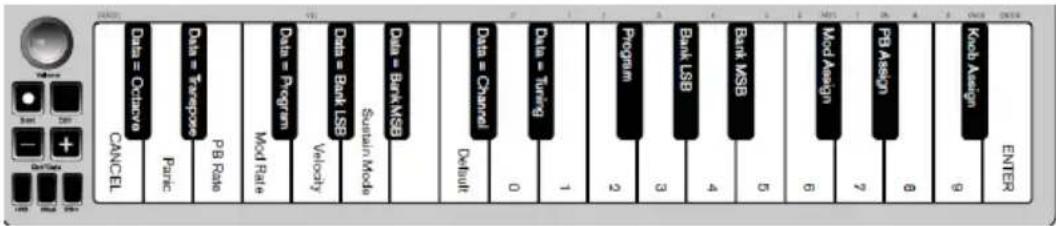 ALESIS Q Mini - Octave/Data Buttons (Oct/Data) - 1