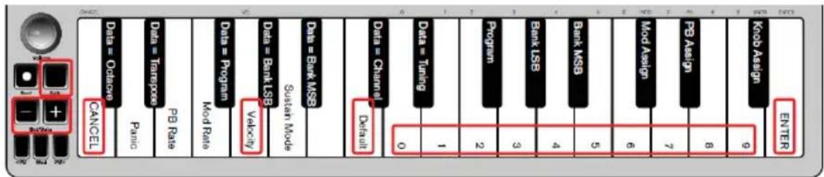 ALESIS Q Mini - To return the Velocity Curve to the default setting, perform the following steps: - 1