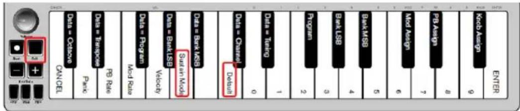 ALESIS Q Mini - Sustain Mode - 1