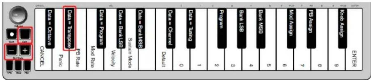 ALESIS Q Mini - Transposition - 1