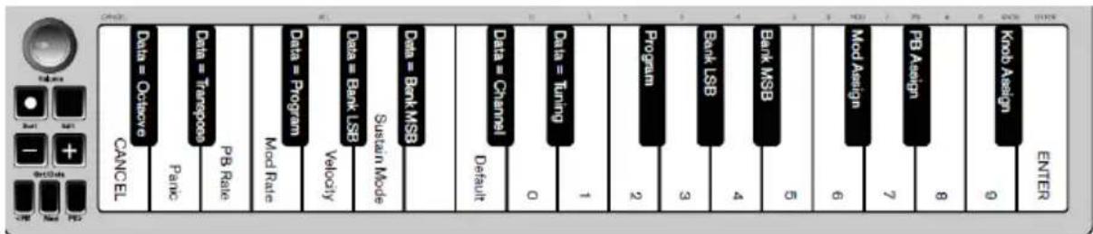 ALESIS Q Mini - Klaviatur - 1