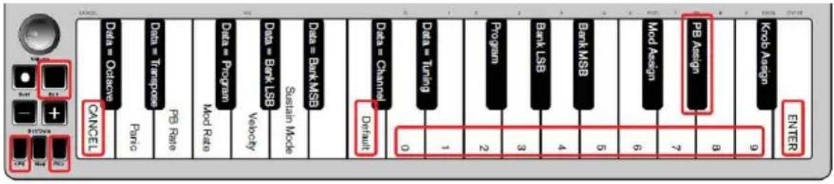 ALESIS Q Mini - Boutons de pitch bend () - 1