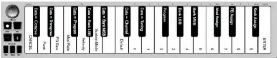 ALESIS Q Mini - Placa del teclado - 1