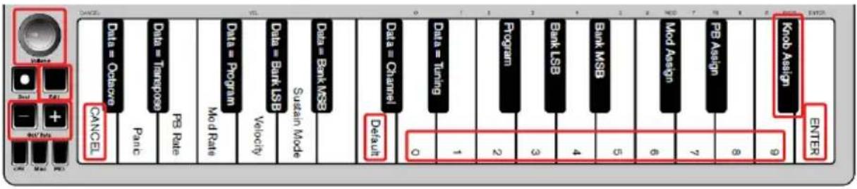 ALESIS Q Mini - Bouton rotatif de volume - 1