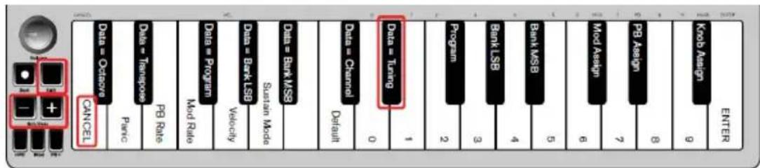 ALESIS Q Mini - Afinación - 1