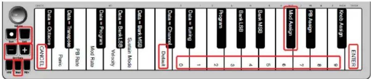 ALESIS Q Mini - Pulsante Modulation - 1