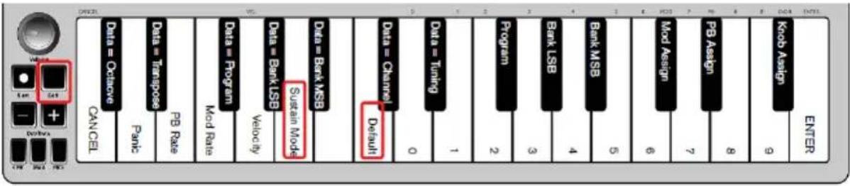 ALESIS Q Mini - Mode de sustain - 1