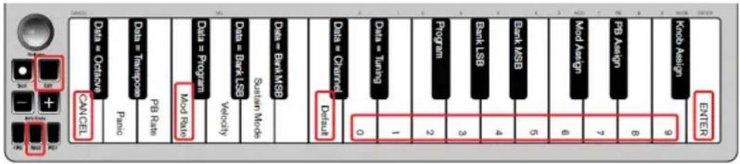 ALESIS Q Mini - Modulation Rate - 1
