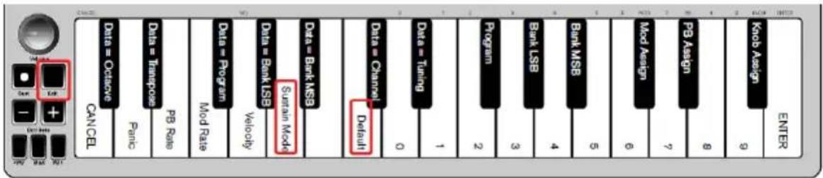 ALESIS Q Mini - Modalità Sustain - 1