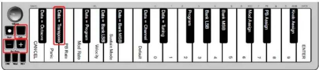ALESIS Q Mini - So setzen Sie die Programmfunktion auf den Standardwert (Programm 0) zurück: - 1