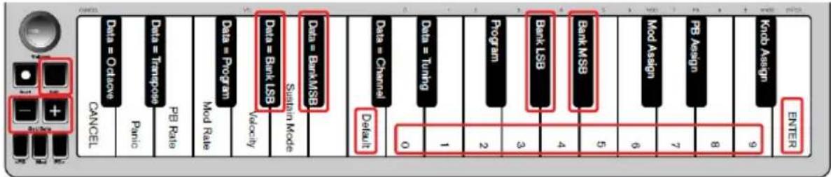 ALESIS Q Mini - Messages Banque LSB et Banque MSB - 1