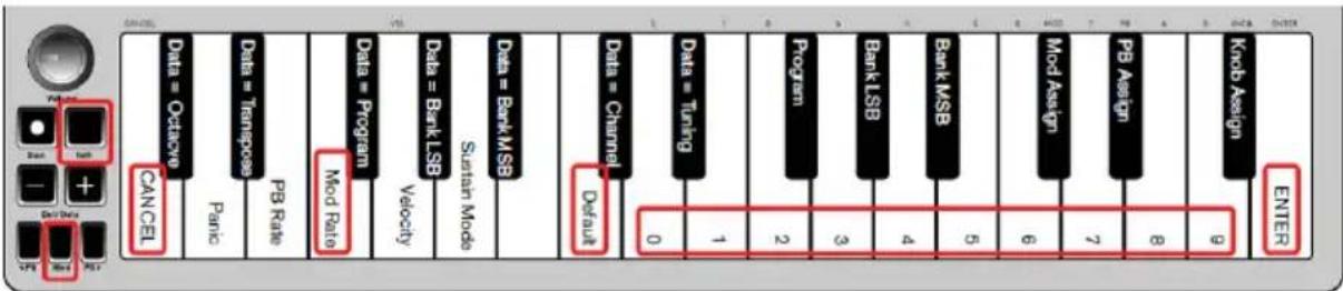 ALESIS Q Mini - Velocidad de modulación - 1