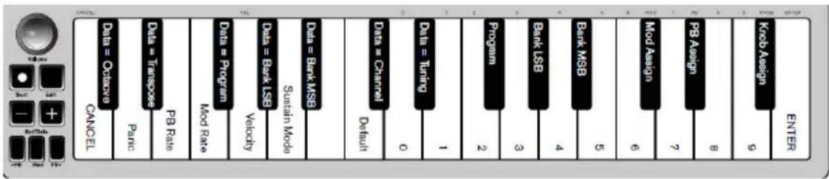 ALESIS Q Mini - Tastiera - 1