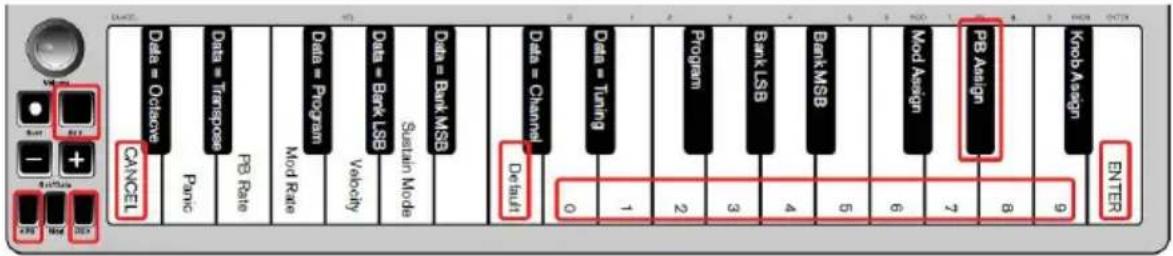 ALESIS Q Mini - Botones de inflexión tonal - 1
