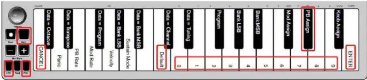 ALESIS Q Mini - Pitchbend-Taster - 1