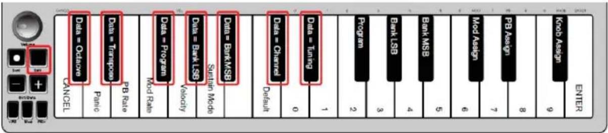 ALESIS Q Mini - Reasignación de los botones Oct/Data - 1