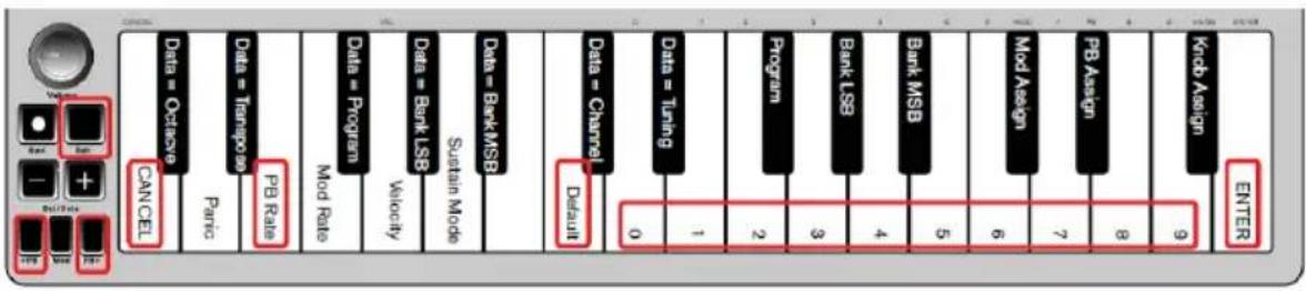 ALESIS Q Mini - Pitch Bend Rate - 1