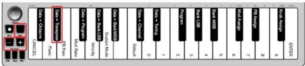 ALESIS Q Mini - Transpose - 1