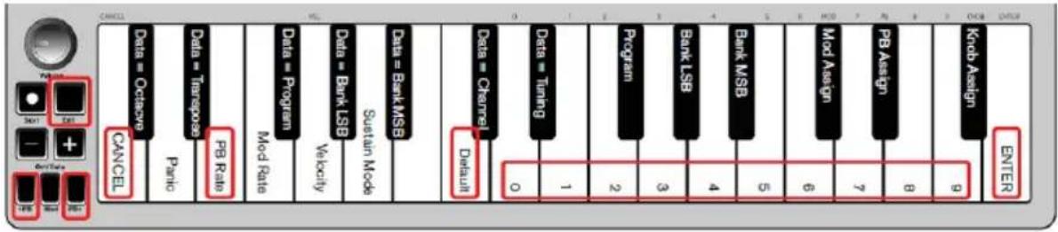 ALESIS Q Mini - Pour ajuster le taux de pitch bend - 1