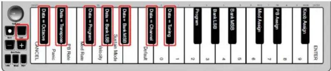 ALESIS Q Mini - Riassegnazione dei pulsanti Octave/Data - 1