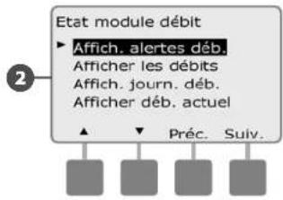 RAIN BIRD ESPLXMEF - Affichage des alarmes de débit principal - 4