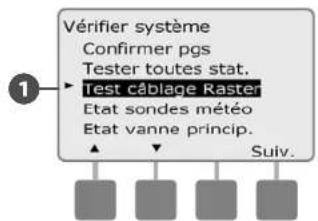 RAIN BIRD ESPLXMEF - Test câblage Raster - 3