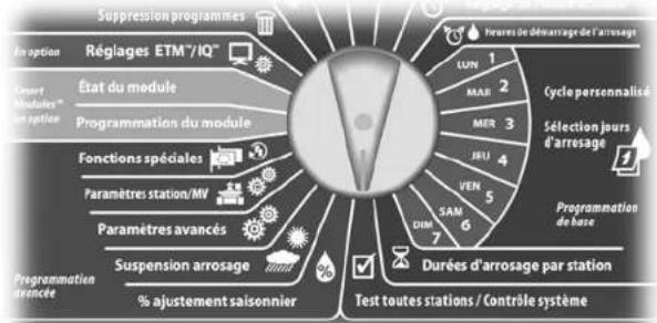 RAIN BIRD ESPLXMEF - Récapitulatif des programmes - 2