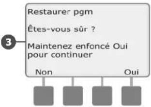 RAIN BIRD ESPLXMEF - Restaurer les programmes par défaut - 5
