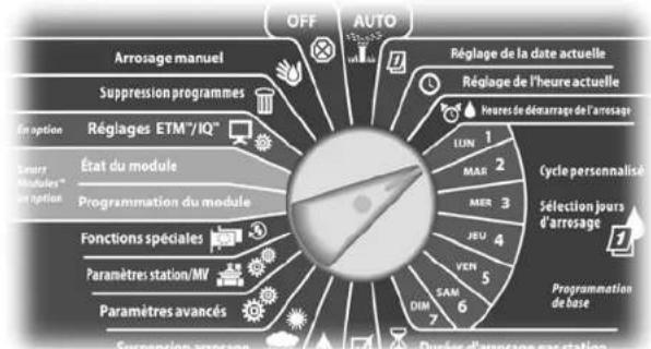 RAIN BIRD ESPLXMEF - Sélection des jours d'arrosage - 2