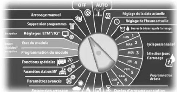 RAIN BIRD ESPLXMEF - Démarrer manuellement un programme - 2