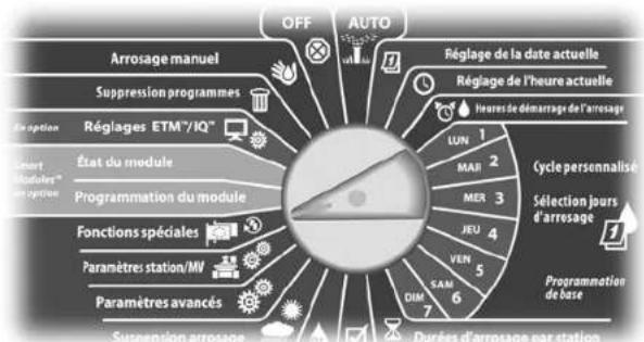 RAIN BIRD ESPLXMEF - Configurer la langue - 2