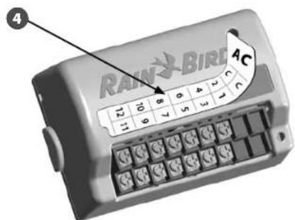 RAIN BIRD ESPLXMEF - Numérotation dynamique des stations - 5