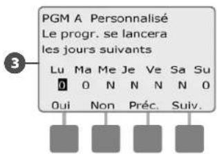RAIN BIRD ESPLXMEF - Personnalisé, Impair, Jours imp. hors 31, Pair - 5