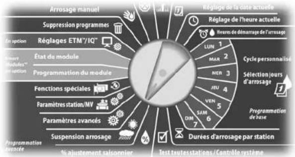 RAIN BIRD ESPLXMEF - Suspendre l'arrosage - 1