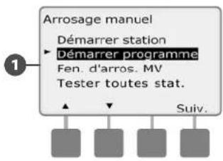 RAIN BIRD ESPLXMEF - Démarrer manuellement un programme - 3