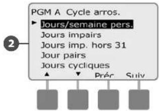 RAIN BIRD ESPLXMEF - Personnalisé, Impair, Jours imp. hors 31, Pair - 4