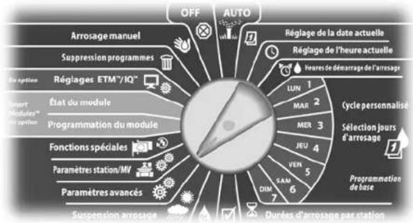RAIN BIRD ESPLXMEF - Configurer manuellement les débits des stations - 1