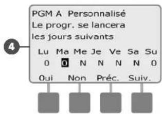 RAIN BIRD ESPLXMEF - Personnalisé, Impair, Jours imp. hors 31, Pair - 6