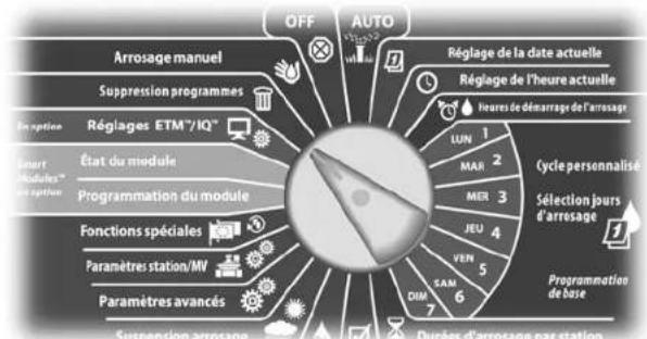RAIN BIRD ESPLXMEF - Effacer les programmes individuellement - 2