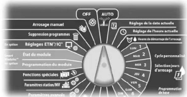 RAIN BIRD ESPLXMEF - Fonctionnement automatique - 2