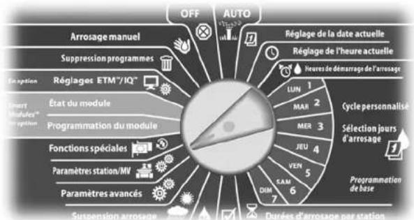 RAIN BIRD ESPLXMEF - État du module - 2