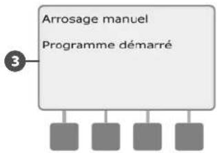 RAIN BIRD ESPLXMEF - Démarrer manuellement un programme - 6