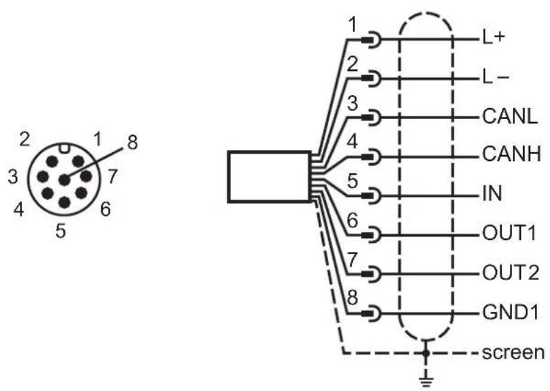 IFM LDP100 - Raccordement électrique - 3