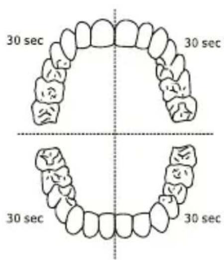 Niceboy ION SmartSonic - BEDIENUNGSCANLEITUNG - 2