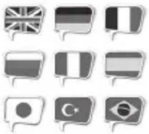 Trevi FORTE Plus 80 - SIMPLIFIED EU DECLARATION OF CONFORMITY - 1