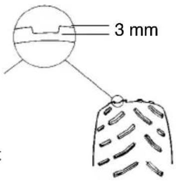 3 mm