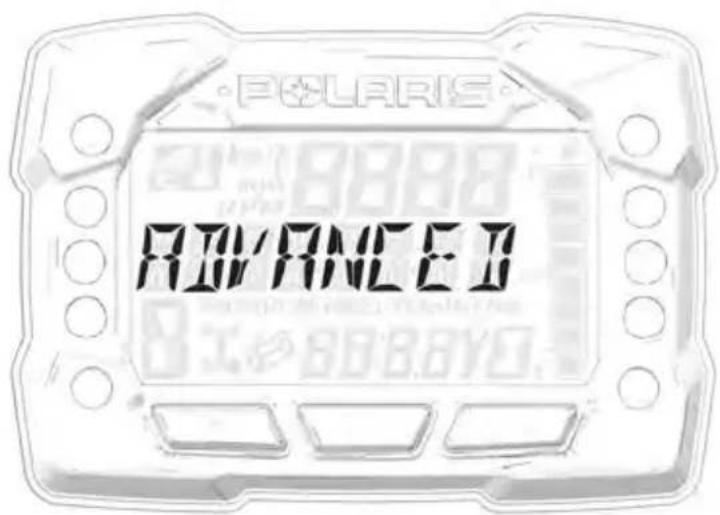POLARIS ADVANCED