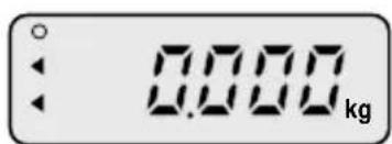 CAS 859315 - Weighing with Tare - 2