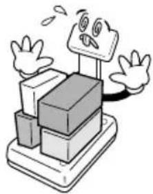 CAS 859435 - Precautions when installing the scale. To ensure that you get the most from your scale, please follow these instruction. - 2